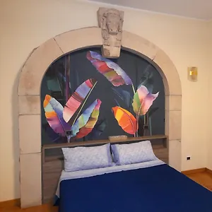  Appartement Amedei4